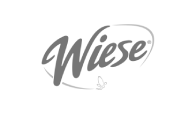 Cliente Wiese - Sitio Web Express
